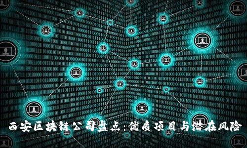 西安区块链公司盘点：优质项目与潜在风险
