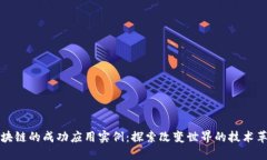 区块链的成功应用实例：探索改变世界的技术革