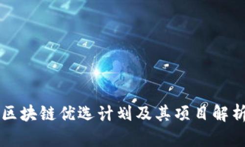 区块链优选计划及其项目解析